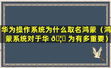 华为操作系统为什么取名鸿蒙（鸿蒙系统对于华 🦋 为有多重要）